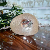 قیمت کشکول نقره نما