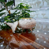 قیمت شکلات خوری روکش نقره اصفهان